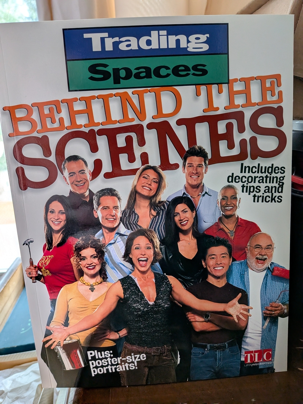 TLC Trading Spaces Behind the Scenes Book